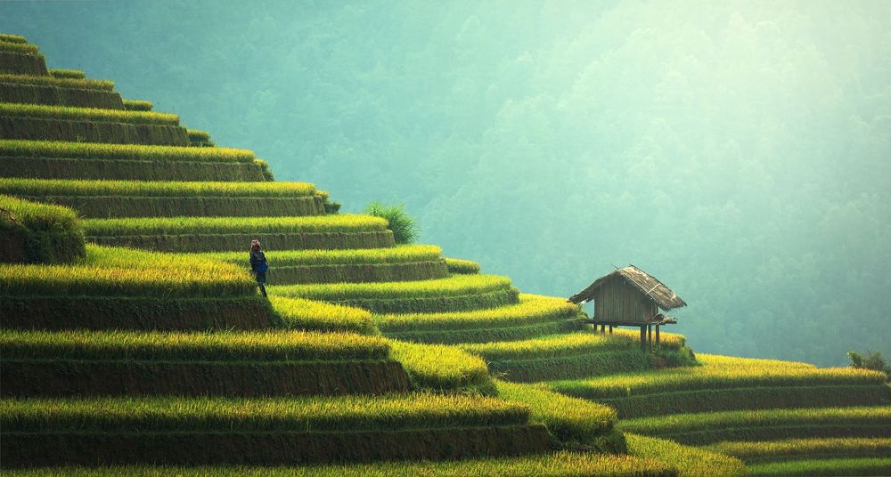 Vietnam Travel Tips: 15 Things You Need to Know