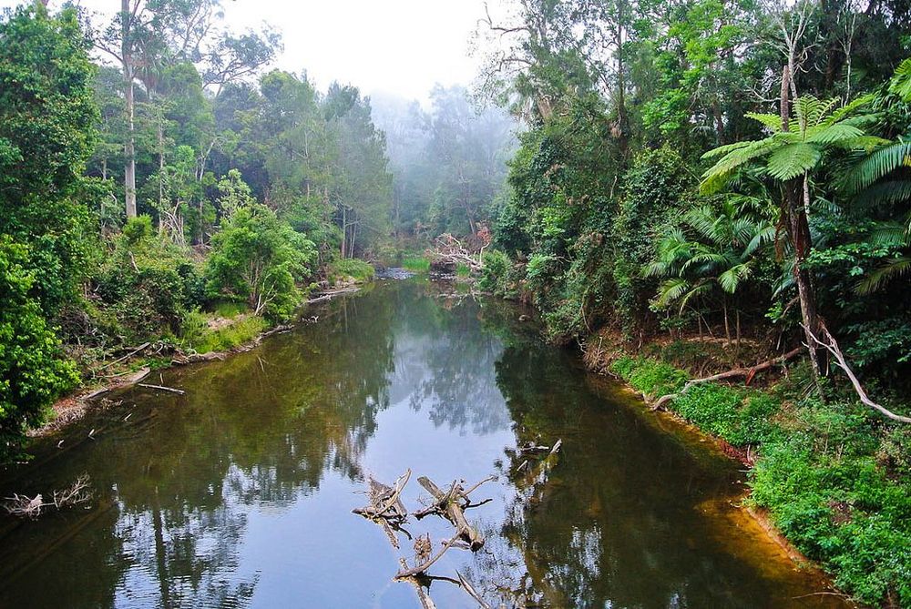 An amazing day trip to Platypus Park: what to see