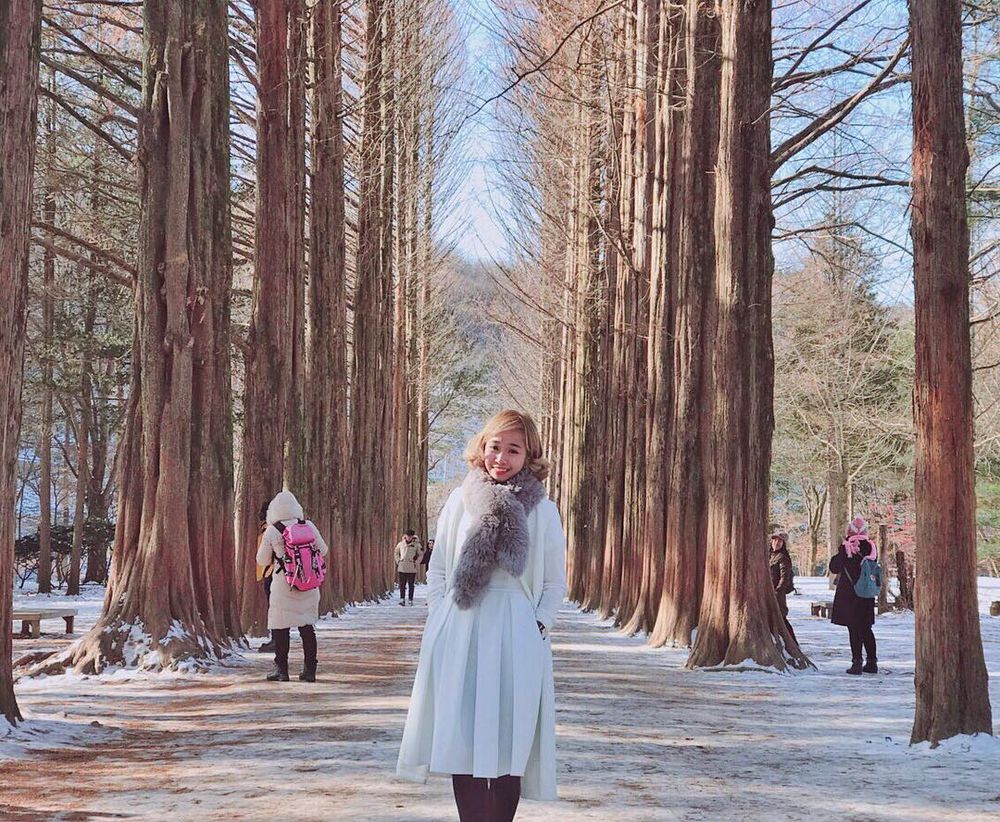 An amazing day trip to Nami Island
