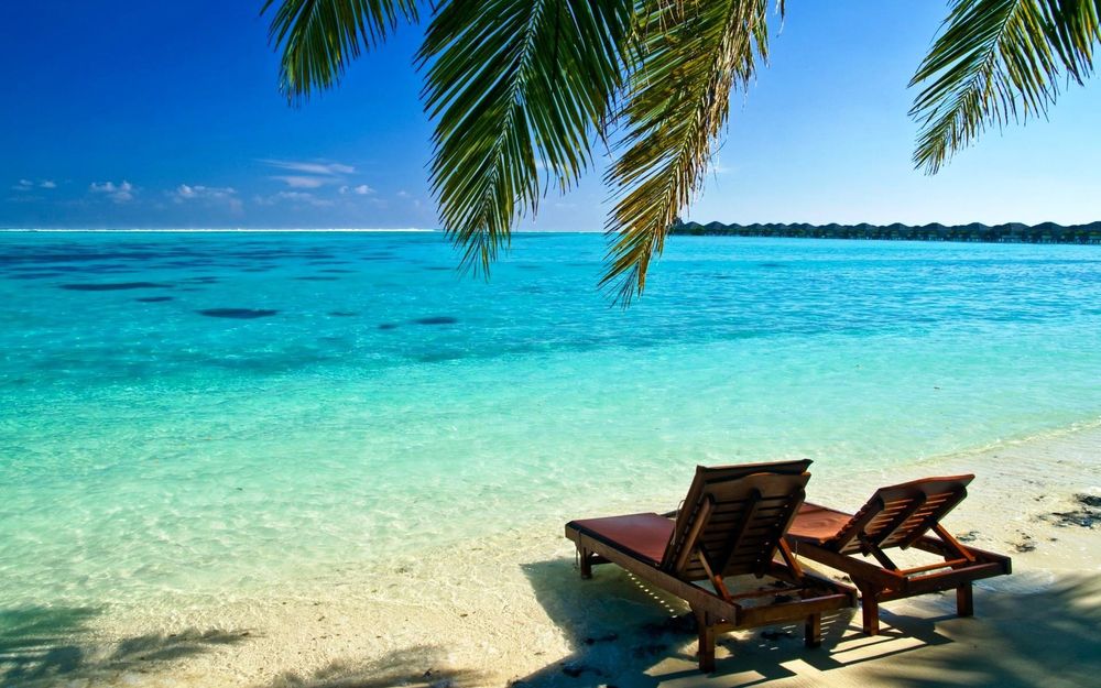 Scuba Diving in Nha Trang: All You Need To Know