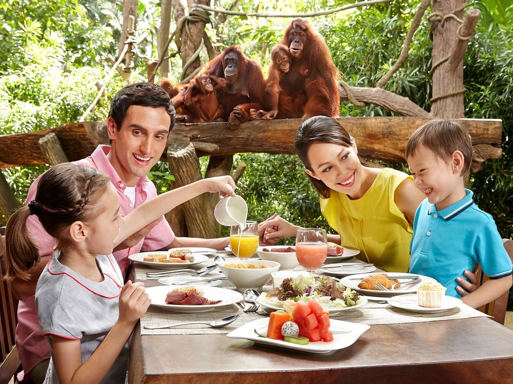 Singapore Zoo: How to get there and guides on what to do for first-timers