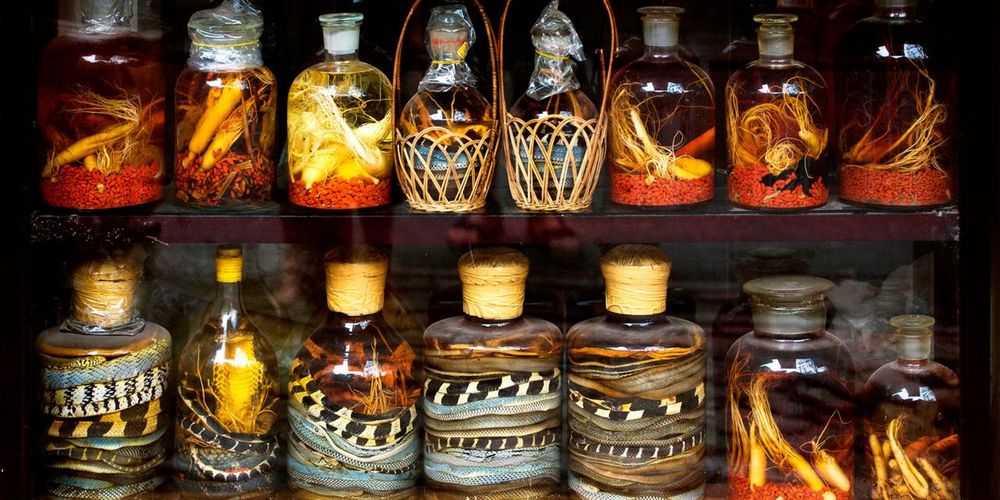 8 weird things you'll only see in Vietnam