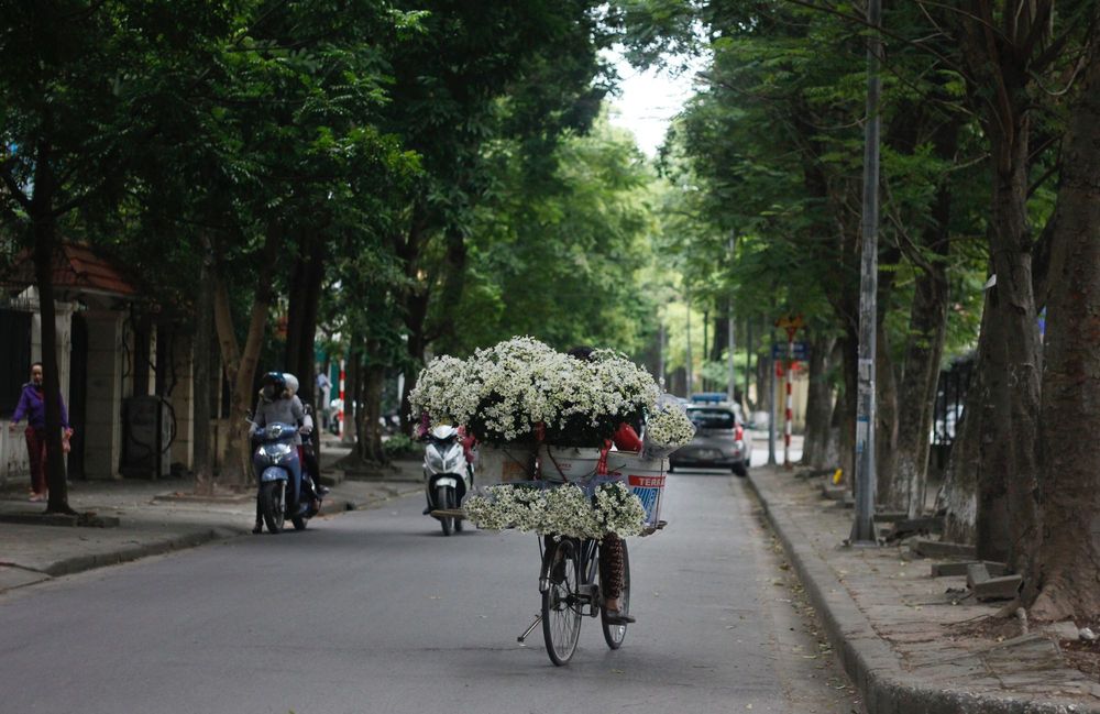 Ho Chi Minh City vs Hanoi: 6 highlights and you'll get your perfect choice