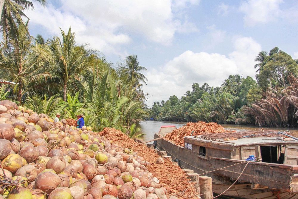 Best 20 things to do in Mekong Delta