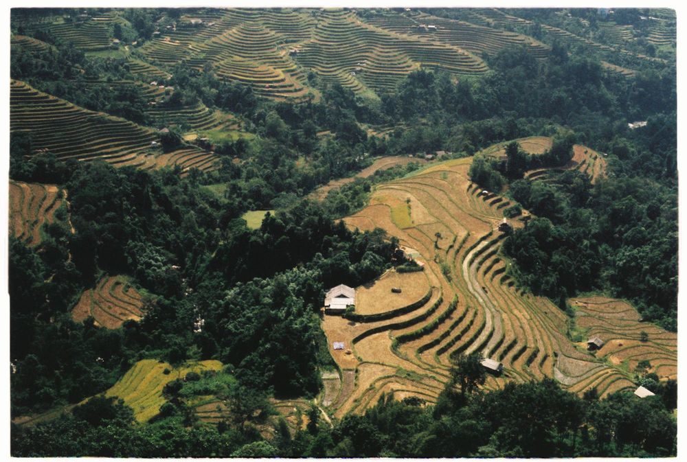 COVID-19 in Vietnam: Travel Updates and Restrictions