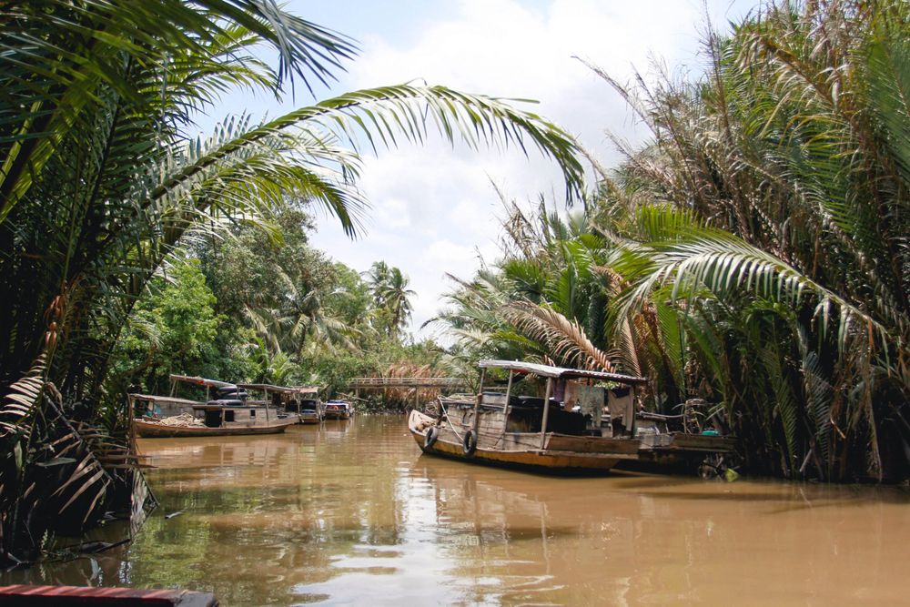 mekong delta