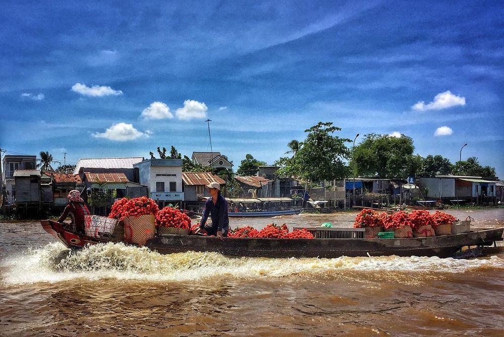 Image courtesy @adaptiveradiation ho chi minh weather december