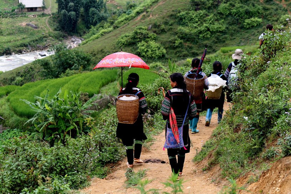 trekking in Sapa