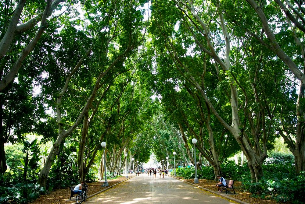 things to do in sydney