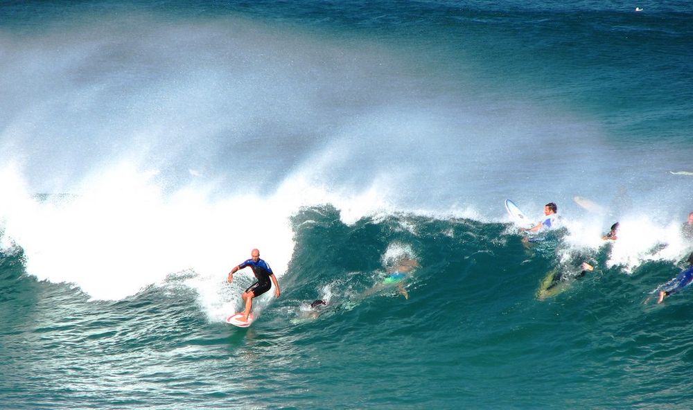 things to do in sydney
